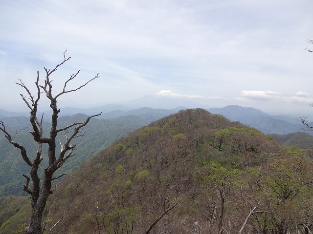 大室山西端からの眺め