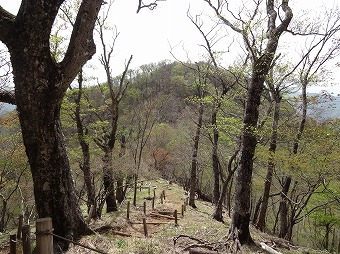 加入道山へ