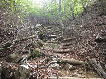 白石峠から急下り