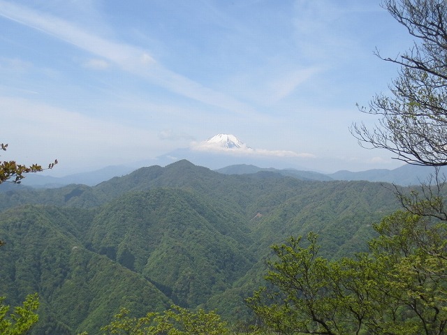 富士山