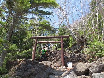 滝尾神社　鳥居