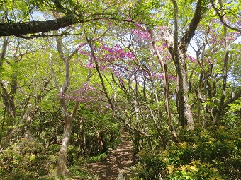 万三郎岳へ