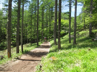 入笠山へ