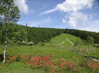 入笠湿原