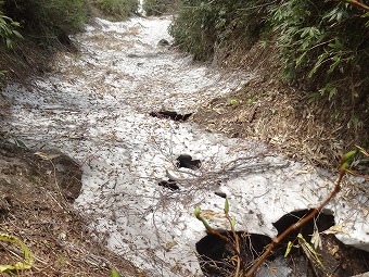 雪渓