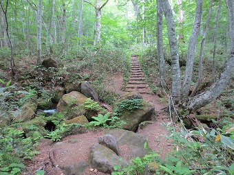 鏡沼へ