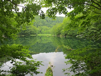 菅沼