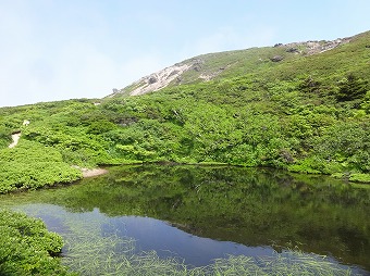 鏡沼