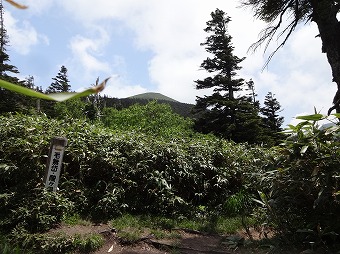 宮様コース分岐