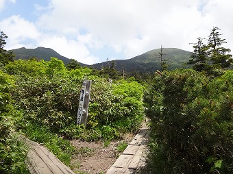 大岳避難小屋からの道と合流