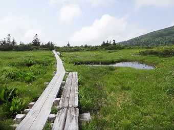 下毛無岱