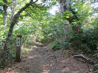 城ヶ倉温泉分岐