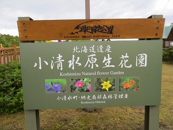 小清水原生花園