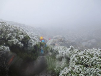 雨氷