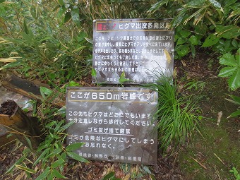 650m岩峰　ヒグマ出没多発区間