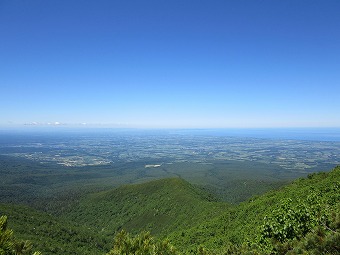 新道ルート