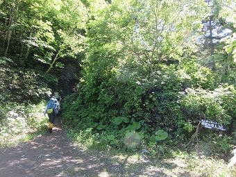 斜里岳登山口