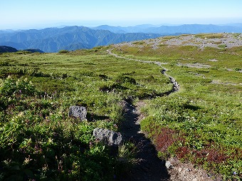 七倉山への道