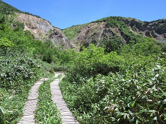 砂防新道　木道