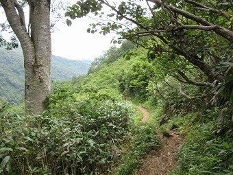 山腹道