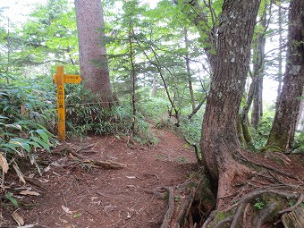 「大凪山」