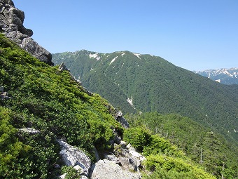 東沢乗越への下り