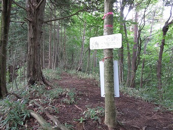 道志みち方面分岐