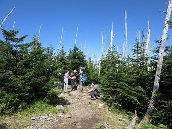 縞枯山　山頂