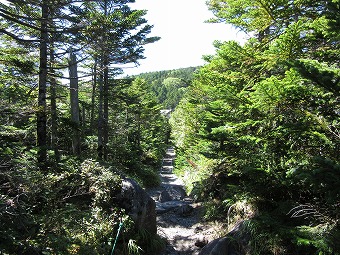 北横岳へ