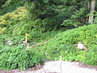 ブナ立尾根登山口