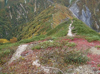 北葛岳からの下り