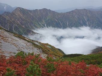 針ノ木岳雪渓はガス