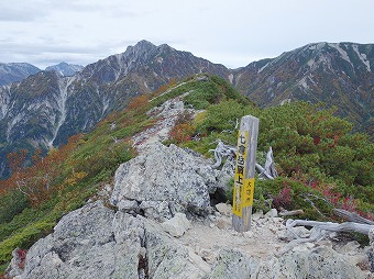 七倉岳　山頂