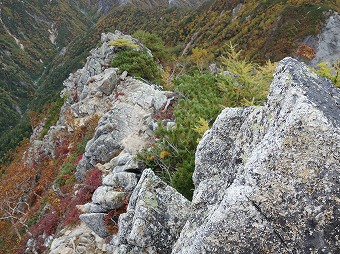 ヤセた岩尾根