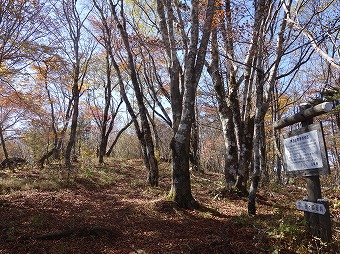 釈迦ヶ岳分岐