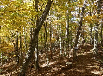 上芦川分岐