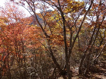 釈迦ヶ岳へ