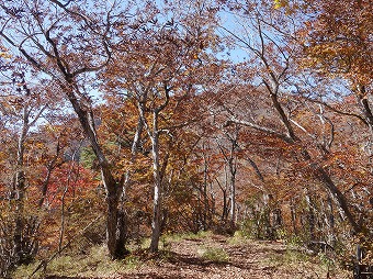 御坂黒岳へ