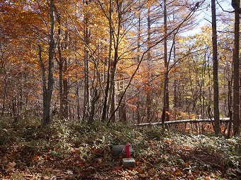 砥山　山頂