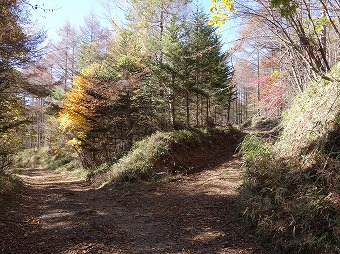 源次郎岳分岐