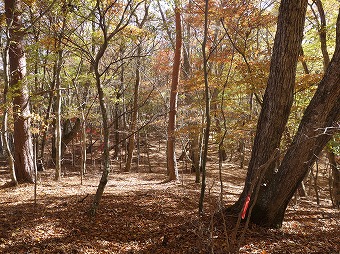 嵯峨塩鉱泉へ