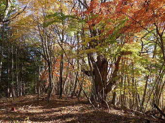 嵯峨塩方面へ