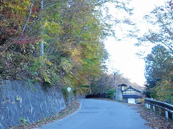 「嵯峨塩鉱泉」バス停