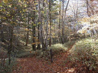 展望台⇔砥山　分岐