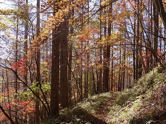 日川尾根　砥山