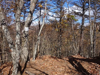 浜立山　山頂