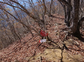 寂ショウ尾根分岐