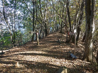 初狩駅分岐