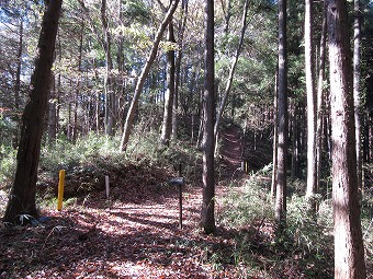 関野地区分岐