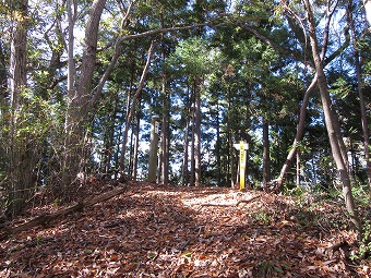 小渕山　山頂